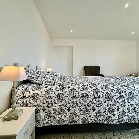 Spacieux Appartement, Grande Terrasse Et Parking Prive ! Apartamento Mandelieu